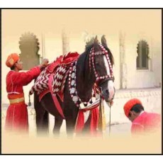 ASHWA PUJA ASHWA PUJA