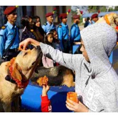 DOG PUJA FESTIVAL