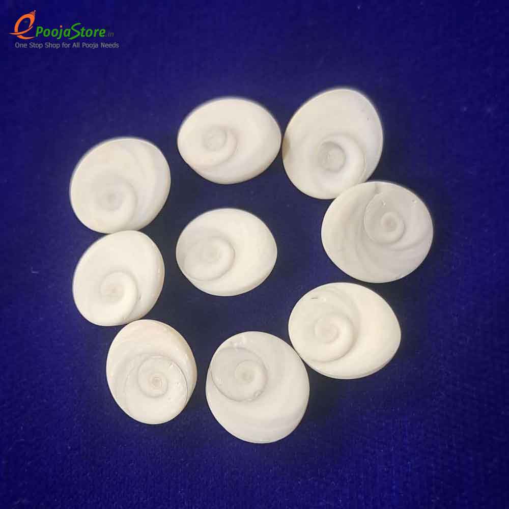Gomati Chakram (For 9 pieces) Gomati Chakram (For 9 pieces)