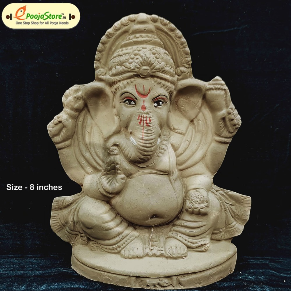 Eco Friendly Ganesha Idol
