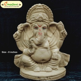 Eco Friendly Ganesha Idol