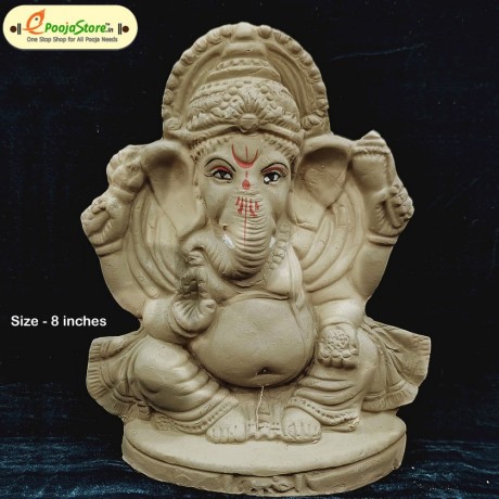 Eco Friendly Ganesha Idol