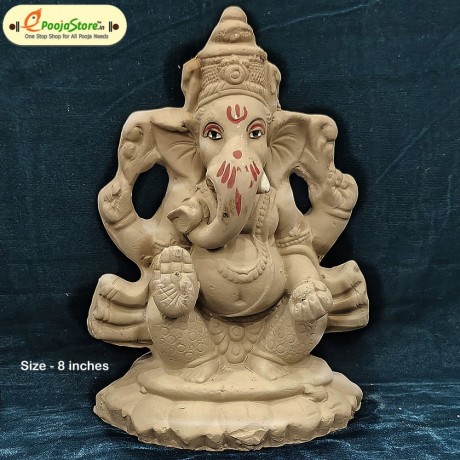 Eco Friendly Ganesha Idol