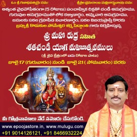 Sri Maha Rudra Sahitha Shata Chandi Homam