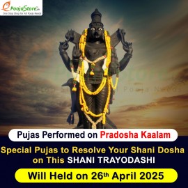 AShani Trayodashi Special Shani Dosha Pujasvatar