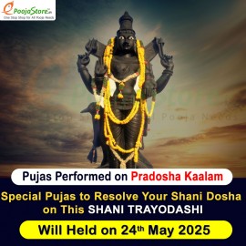 Shani Trayodashi Special Shani Pasupatha Abhishekam and Dhanam To Resolve Shani Dosha 