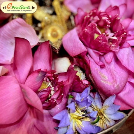 Lotus and Lily Flowers for DASARA