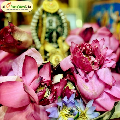 Lotus and Lily Flowers for DASARA