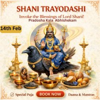 Shani Trayodashi Special Shani Pasupatha Abhishekam and Dhanam To Resolve Shani Dosha  