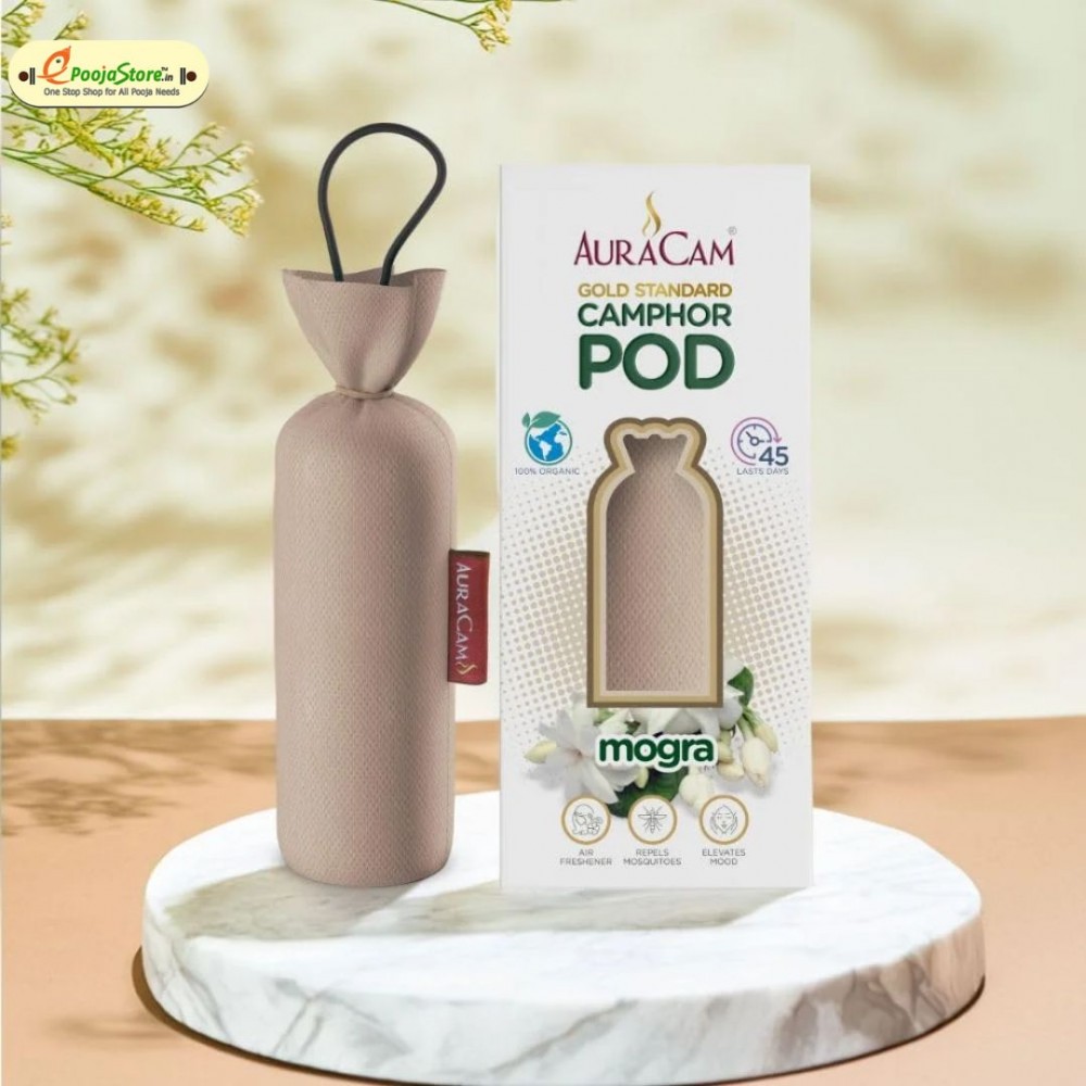 Camphor cone  Morga Pack of 2