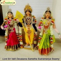 Sri Valli Devasena Sametha Subramanya Swamy