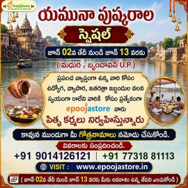 Yamuna Pushkaralu Special Pitru Karyalu at Mathura , Vrindavan