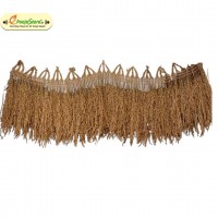 Natural Paddy / Dhanyam Thoranam