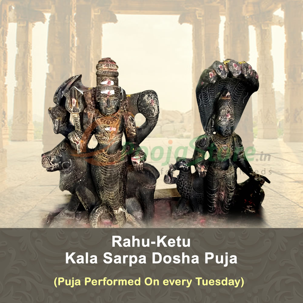 Rahu Ketu Puja For KalaSarpa Dosha To Nullify The Malefic Effects (Puja Performed On Tuesday) Rahu Ketu Puja For KalaSarpa Dosha To Nullify The Malefic Effects (Puja Performed On Tuesday)