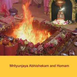 Mrityunjaya Abhishekam and Homam