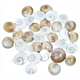 Gomati Chakram (For 9 pieces)