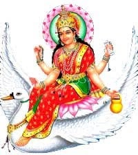 Brahmani Brahmani