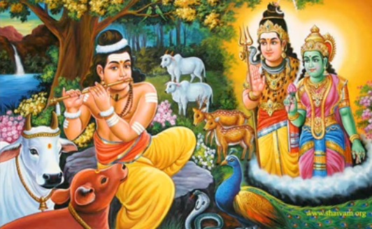 Anaya Nayanar Anaya Nayanar