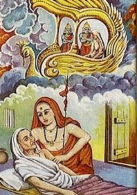 Aryamba Aryamba