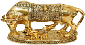 Nandini Nandini