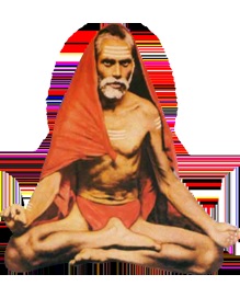 Vasudevanand Saraswati Vasudevanand Saraswati