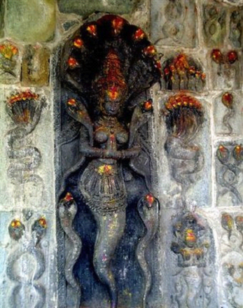 Worshiping of snake deities Worshiping of snake deities